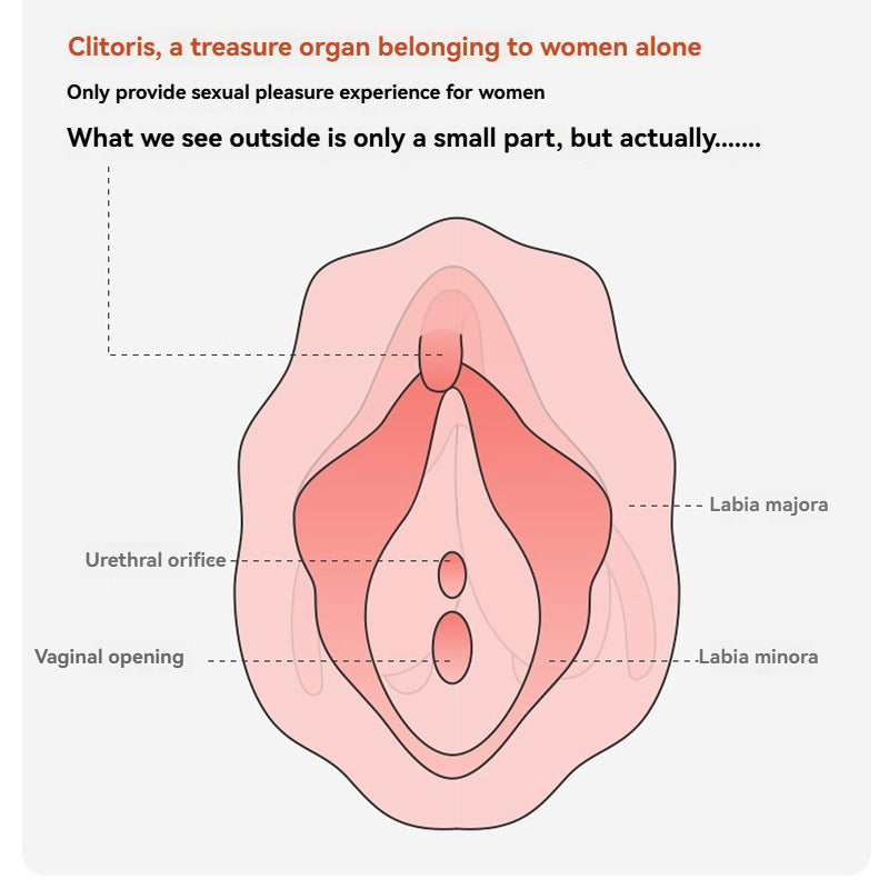 Wearable vibrator: APP remote control, sucking and licking vibration massager