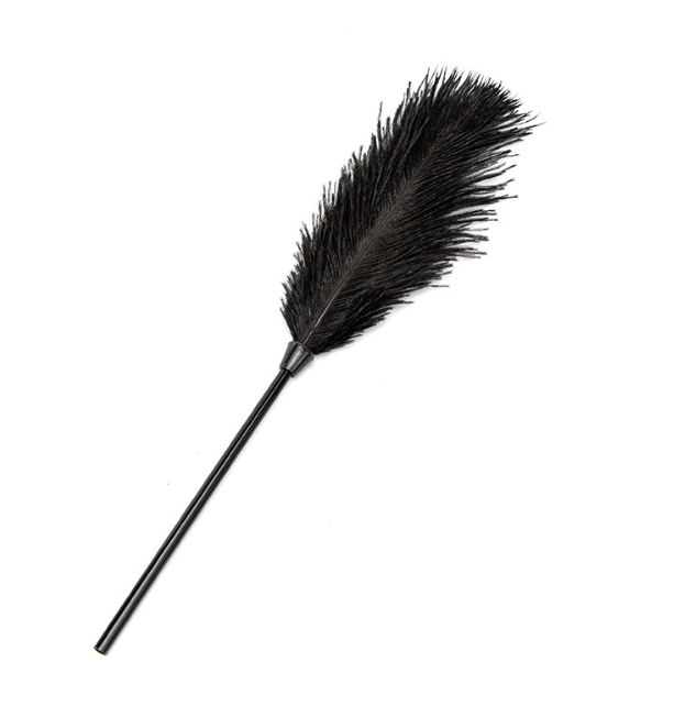 Fun Ostrich Feather Tickler for Flirting-product display
