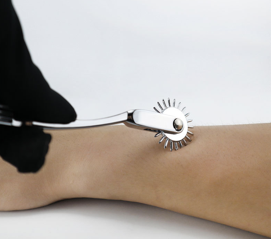 Sensory Stimulation Roller – Teasing Skin Toy for Foreplay, Metal Adult Wheel