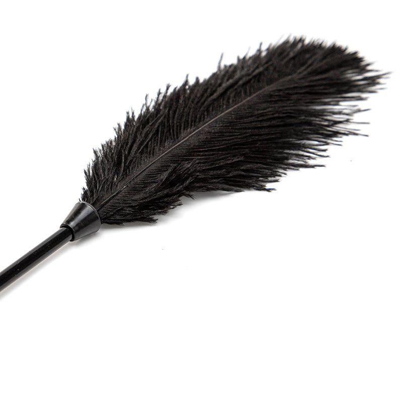Fun Ostrich Feather Tickler-details display