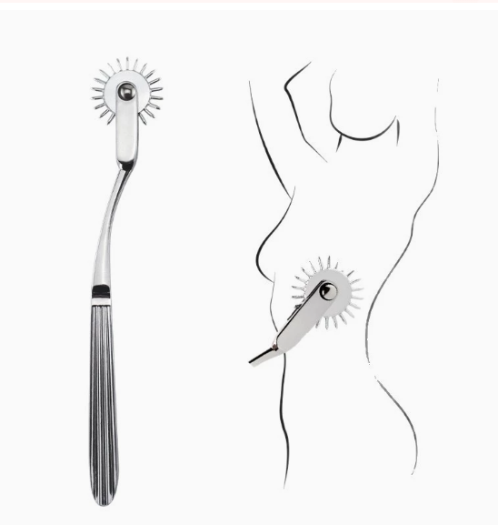 Sensory Stimulation Roller – Teasing Skin Toy for Foreplay, Metal Adult Wheel