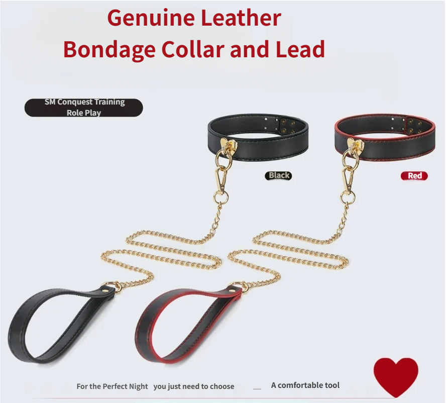 Black SM Collar with Leash- ﻿Included  items